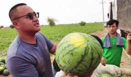 五一免费吃瓜观看